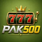 PK500