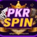 PKRSPIN